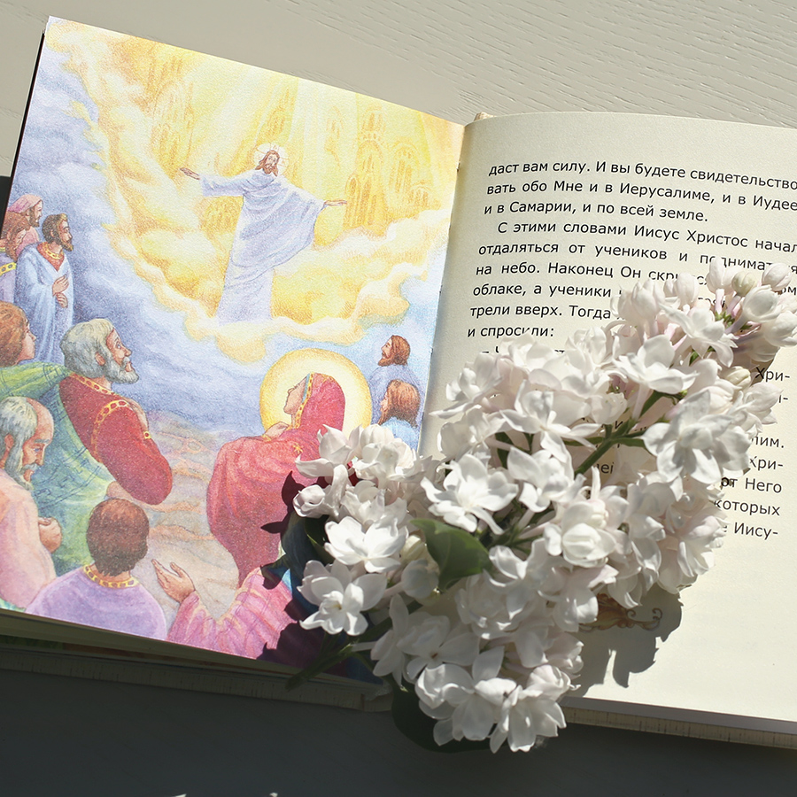 Евангелие для малышей в твердом переплете фото 4