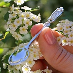 Серебряная ложечка "Часовенка"